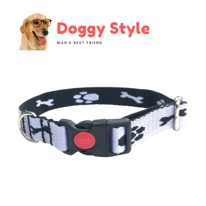 PET ACCESSORIES ef_pc_petc0v671p00080 in Sri Lanka